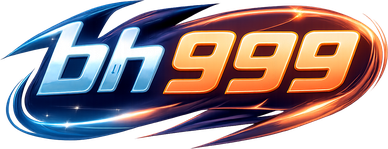 bh 999 সাইটের পরিচিতিমূলক লোগো